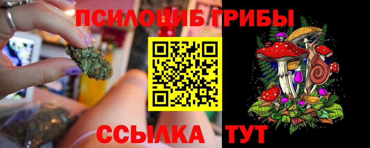 Галлюциногенные грибы Psilocybe Киселёвск