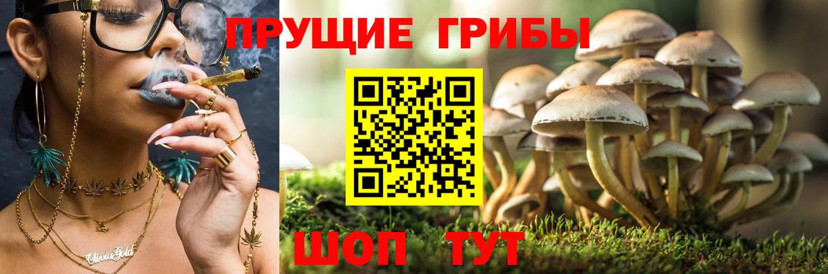 Галлюциногенные грибы мицелий  Вход с VPN  Киселёвск 